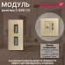 Механизм розетки CORKER 1/2 USB 2.4A / золотой