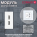 Механизм розетки CORKER 1/2 USB 2.4A / белый