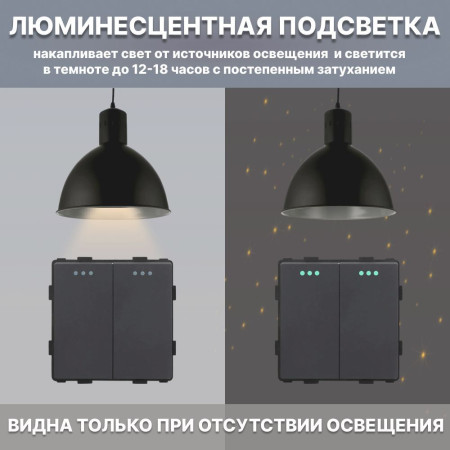 Механический двухклавишный выключатель CORKER (2 клавишный) / черный
